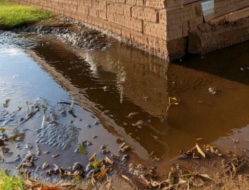 The Importance of Gutter Maintenance: Protecting Your Home from the Ground Up
