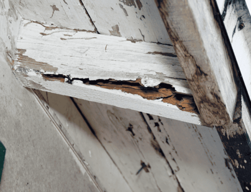 The Importance of Gutter Maintenance: How Neglect Can Damage Your Home—and Your Health