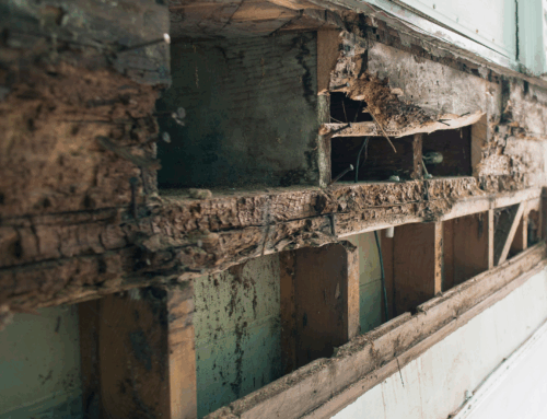 The Importance of Gutter Maintenance: Protecting Your Roof and Siding from Hidden Water Damage