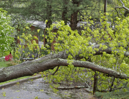 When the Storm Hits Your Gutters